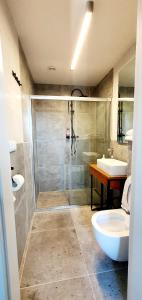 a bathroom with a shower and a toilet and a sink at Loft Rooms - Apartamenty w Kamienicy centrum, bezpłatny parking in Ełk