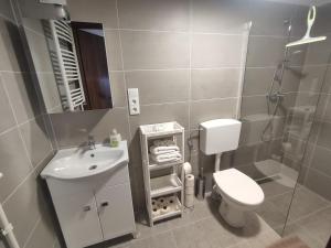 W łazience znajduje się umywalka, toaleta i prysznic. w obiekcie Kossuth Garden w Debreczynie +22 zdjęcia