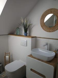 La salle de bains est pourvue d'un lavabo, de toilettes et d'un miroir. dans l'établissement Leśna Ostoja, à Borowy Młyn