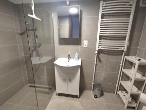 a bathroom with a shower and a sink and a mirror at Kossuth Garden in Debrecen