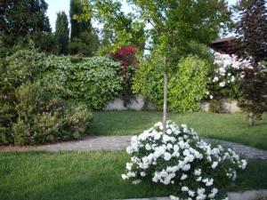Zahrada ubytování La Magnolia - Fano