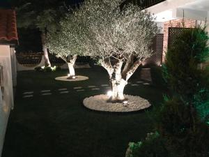 Imagem da galeria de Amaryllis House em Platamonas mais 59 fotografias