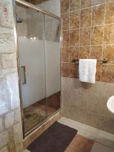een badkamer met een douche en een glazen deur bij Villa Antares in Riglia
