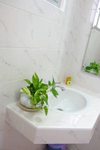 ein Badezimmer mit einem weißen Waschbecken und einer Pflanze darauf in der Unterkunft WeRest Hotel in Khon Kaen