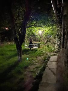 a person sitting on a bench in a park at night at Ludwig Guesthouse in Lagodekhi