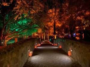 un chemin dans un parc arboré la nuit dans l'établissement Hacienda de los Santos, à Álamos