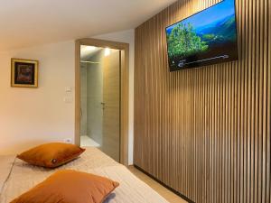 TV a/nebo společenská místnost v ubytování Apartments Pri nas