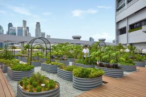 a group of plants in pots on the roof of a building at PARKROYAL COLLECTION Marina Bay, Singapore in Singapore