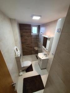 a bathroom with a toilet and a sink and a shower at Nina Apartman in Soko Banja