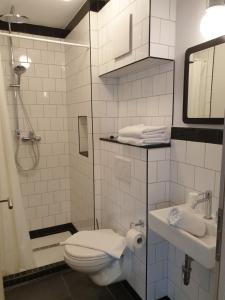 a bathroom with a shower and a toilet and a sink at Oleander Hof in Hochstadt