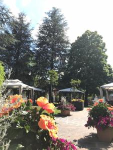 einen Garten mit Blumen, Sonnenschirmen und Bäumen in der Unterkunft Hotel Ristorante Gallo D'Oro in Vignola