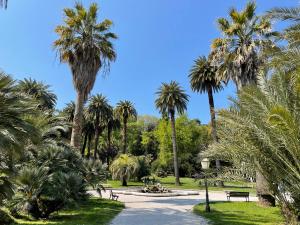a park with palm trees on a sunny day at Il mulino di Trastevere - My Extra Home in Rome