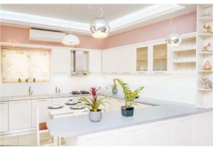 a kitchen with white cabinets and potted plants at Andronikis House in Pithárion