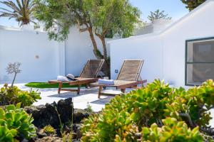 Jardin de l'établissement Estudio Tegoyo