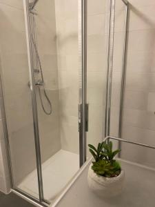 uma casa de banho com um chuveiro e uma planta num balcão em M8tto em Arco