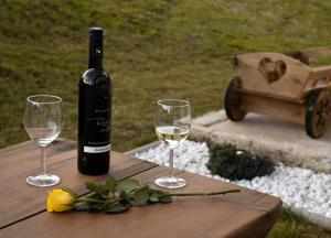 a bottle of wine sitting on a table with two glasses at M&M Apartment in Zgornje Gorje