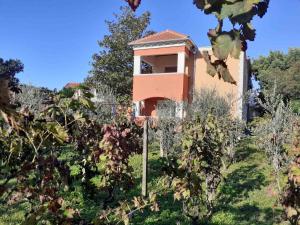 a building in the middle of a field with trees at Apartments Rolovina in Tivat