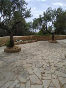 een stenen patio met twee bomen in het midden bij Villa Antares in Riglia