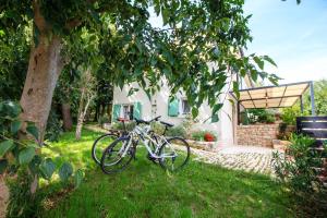 Jízda na kole v ubytování Holiday Home Mikula nebo okolí