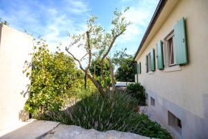 Zahrada ubytování Holiday Home Mikula