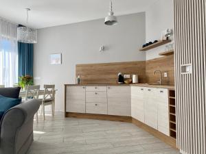 Kuchyň nebo kuchyňský kout v ubytování Apartament Krzysztofa Bochusa