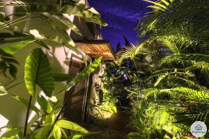 Zahrada ubytování Villa Paloma 4 étoiles avec Piscine et Vue exceptionnelle sur l'ocean à Saint-Leu