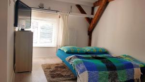 sypialnia z łóżkiem, telewizorem i oknem w obiekcie Kamienica "Pod dębem" w Lidzbarku Warmińskim
