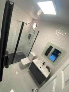 La salle de bains est pourvue de toilettes, d'un lavabo et d'une douche. dans l'établissement River View Apartment Suite, à Cork