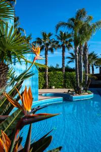 a swimming pool with palm trees in the background at Hotel San Luca in Battipaglia