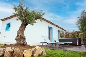 a patio with a tree and a bench and a house at AQUA SARDINIA boutique hotel in Budoni