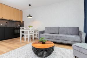 Kuchyň nebo kuchyňský kout v ubytování Apartamenty Letnicka by Noclegi Renters