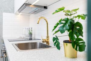 Kuchyň nebo kuchyňský kout v ubytování Apartamenty Letnicka by Noclegi Renters