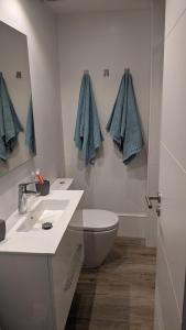 ein Badezimmer mit einem Waschbecken, einem WC und einem Spiegel in der Unterkunft Tarter Cozy studios by Renttarter Sans Espais in El Tarter