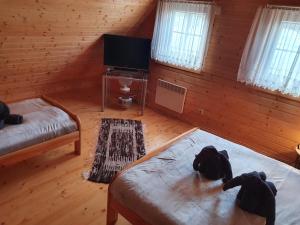 Televízia a/alebo spoločenská miestnosť v ubytovaní Domek Gucio