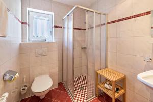 łazienka z prysznicem, toaletą i umywalką w obiekcie Ferienwohnung Helena w mieście Schwendau