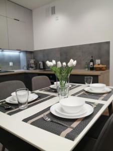 Kuchyň nebo kuchyňský kout v ubytování FilMar Apartament przy Parku