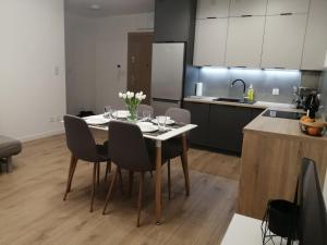 Kuchyň nebo kuchyňský kout v ubytování FilMar Apartament przy Parku + 9 fotografií