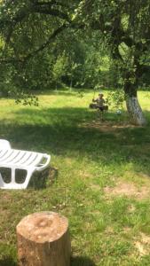 a person sitting in a hammock under a tree at Pensiunea Felyviss in Albac