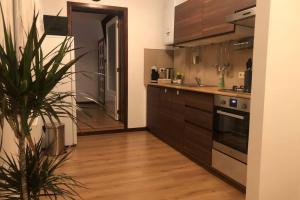 a kitchen with brown cabinets and a potted plant at Easy comfort in Brussels