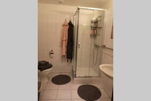 a bathroom with a shower and a toilet and a sink at Easy comfort in Brussels