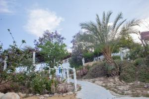 un camino que conduce a una casa con palmeras en Casa Rural Aloe Vera, en Huércal-Overa