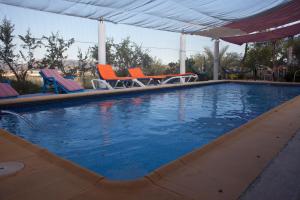una piscina con 3 sillas en Casa Rural Aloe Vera, en Huércal-Overa