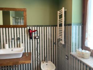 uma casa de banho com um lavatório, um espelho e um chuveiro em AGRITURISMO Da Baffone em Santo Stefano del Sole