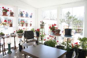 Fotografie z fotogalerie ubytování Hoby Gård v destinaci Borrby