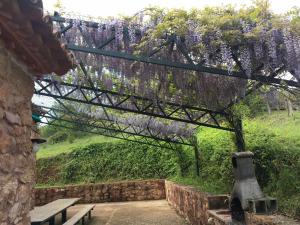un árbol de glicina con flores púrpuras colgando de él en Casa Rural Finca El Tornero, en Aracena