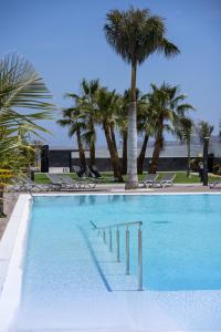 a large swimming pool with palm trees and chairs at Island Home Fuerteventura in Corralejo