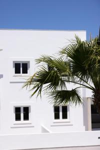a white building with windows and a palm tree at Island Home Fuerteventura in Corralejo