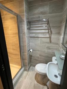 a bathroom with a shower and a toilet and a sink at The Albert Inn in Nairn