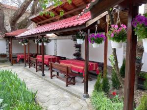 Zahrada ubytování Hotel Chinara