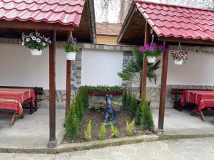 Zahrada ubytování Hotel Chinara